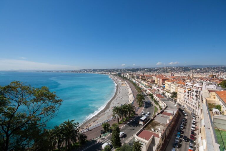 Veterinaires à Nice
