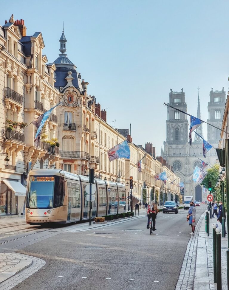 Veterinaires à Orléans