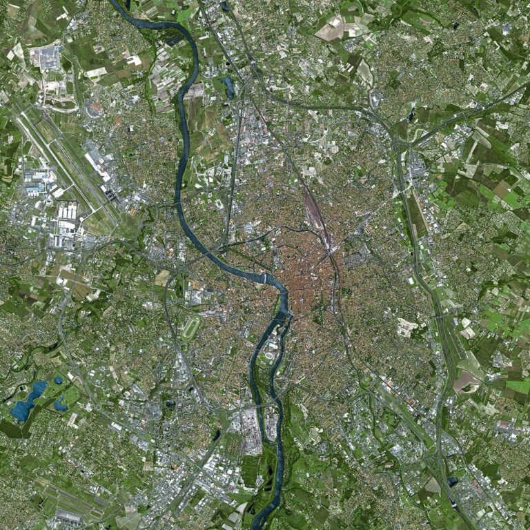 Veterinaires à Toulouse
